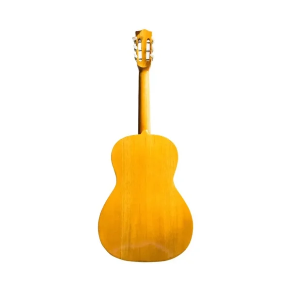 GUITARRA CLÁSICA – BUCARAMANGA - Imagen 4