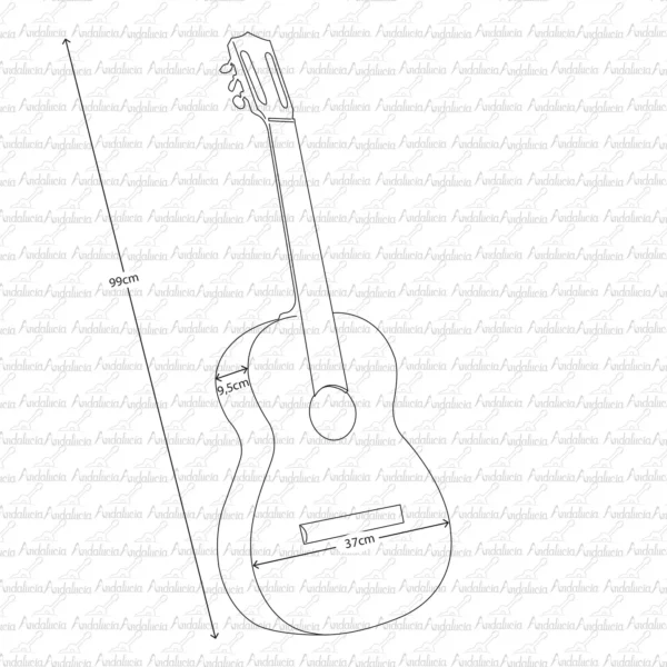 GUITARRA CLÁSICA – SINCELEJO - Imagen 2