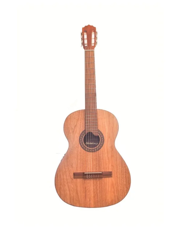 GUITARRA ELECTRO ACÚSTICA – HOSHINO