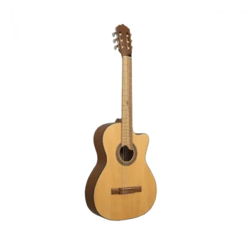 REQUINTO – PINO CIPRES