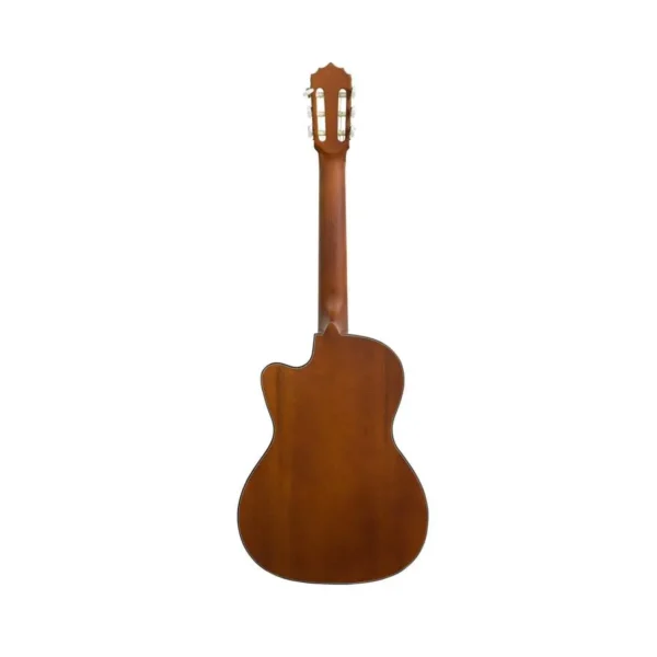 REQUINTO – PINO CIPRES - Imagen 2