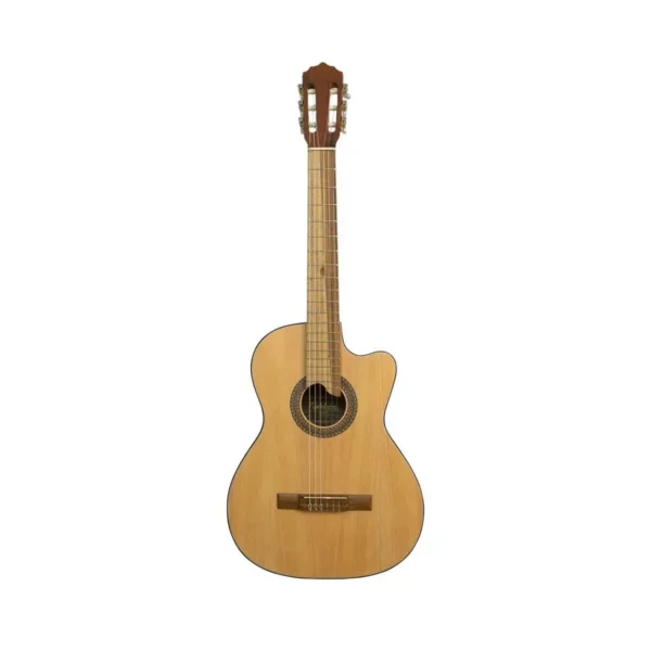 REQUINTO – PINO CIPRES - Imagen 3