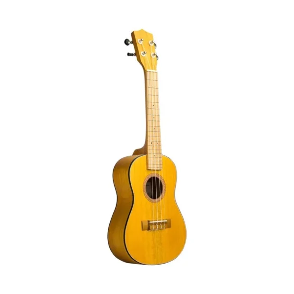 UKULELE – VILLAVIEJA, HUILA