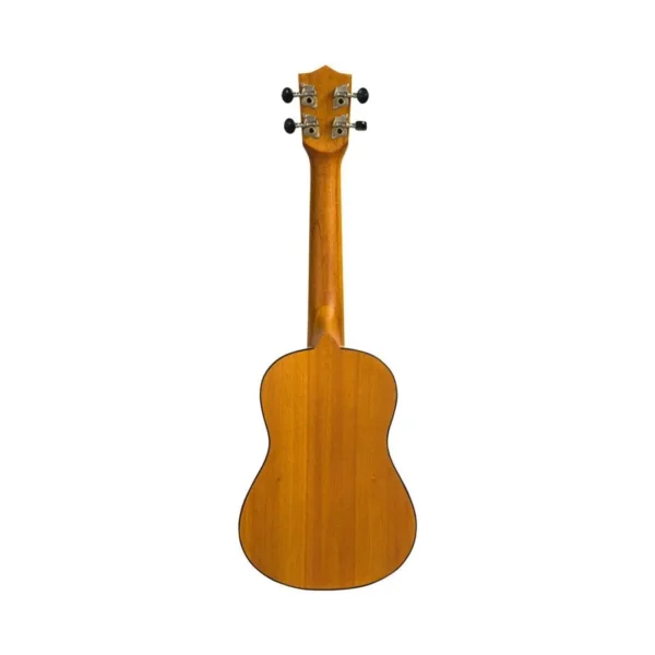 UKULELE – VILLAVIEJA, HUILA - Imagen 3